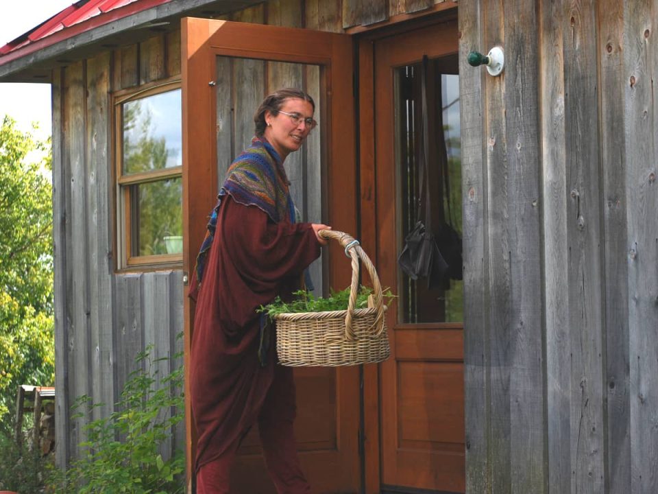 Anaïs l'herboriste se prépare à entrer à l'intérieur, tenant un panier plein d'herbes fraîchement cueillies.